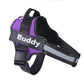 No-Pull Personalized Reflective Harness - The Royal Pet