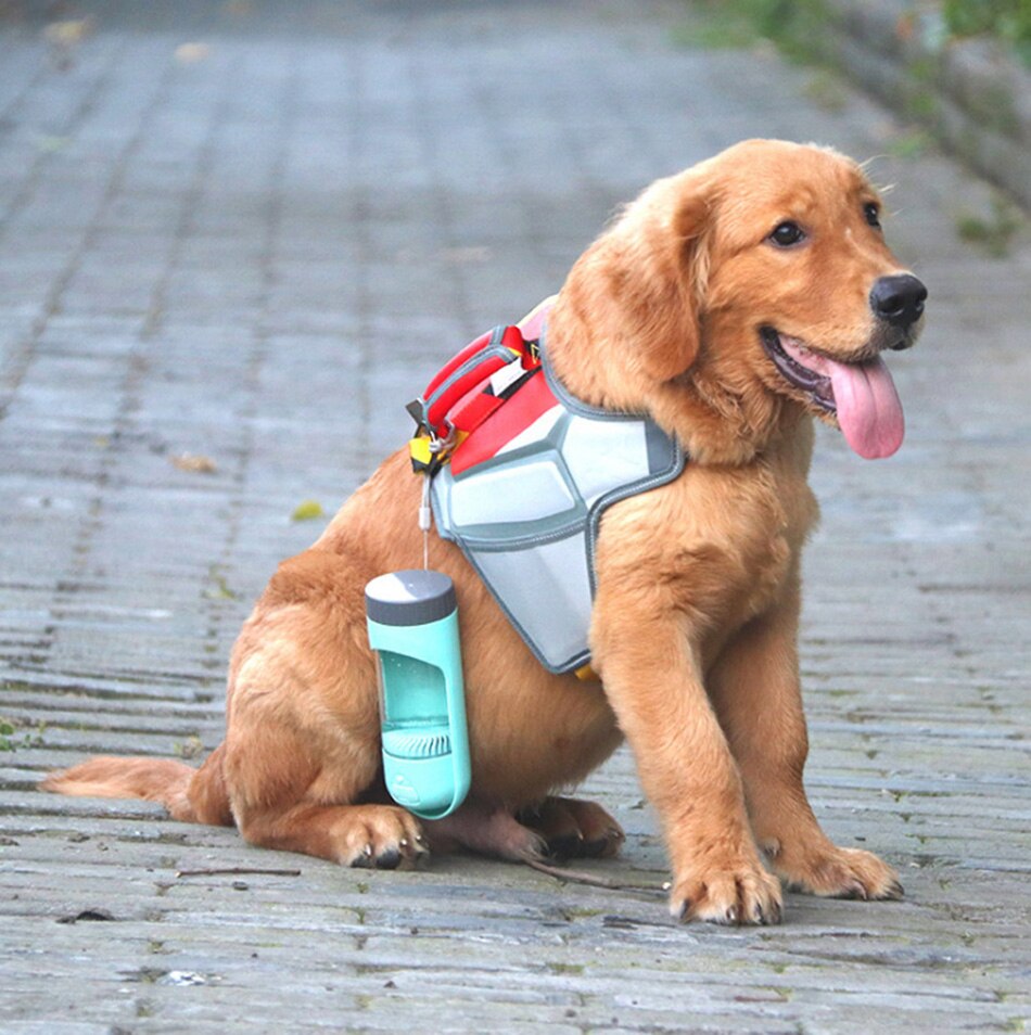 Travel pet water bottle with filter - The Royal Pet